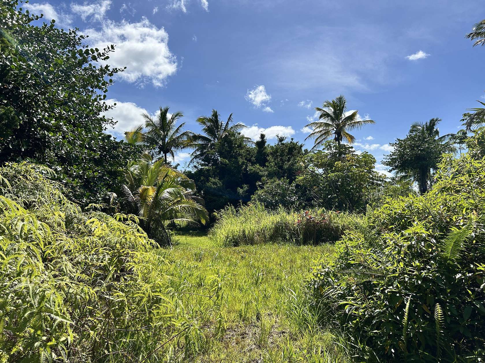 0.28 Acres of Residential Land for Sale in Pahoa, Hawaii