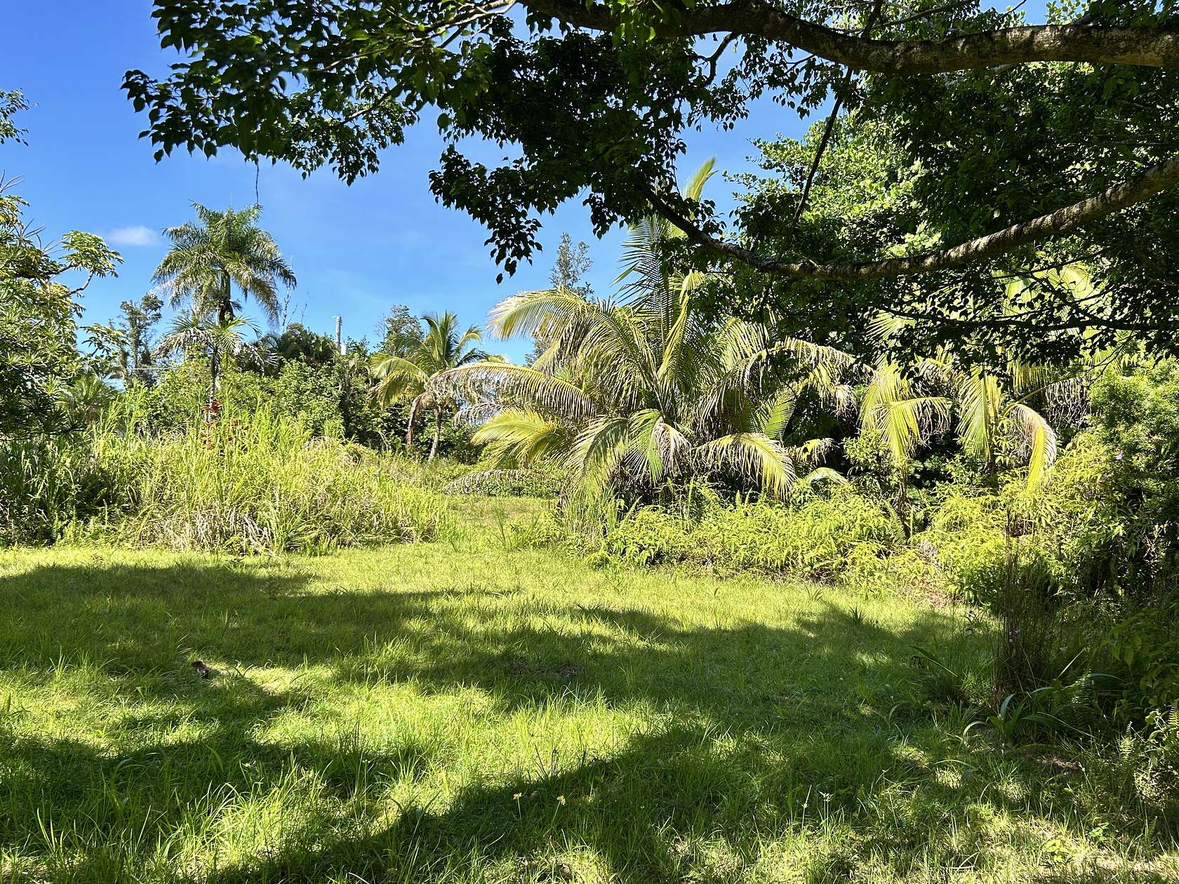 0.28 Acres of Residential Land for Sale in Pahoa, Hawaii