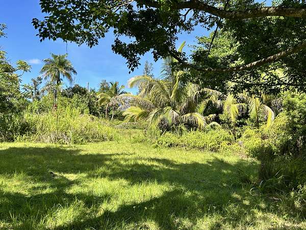 0.28 Acres of Residential Land for Sale in Pahoa, Hawaii