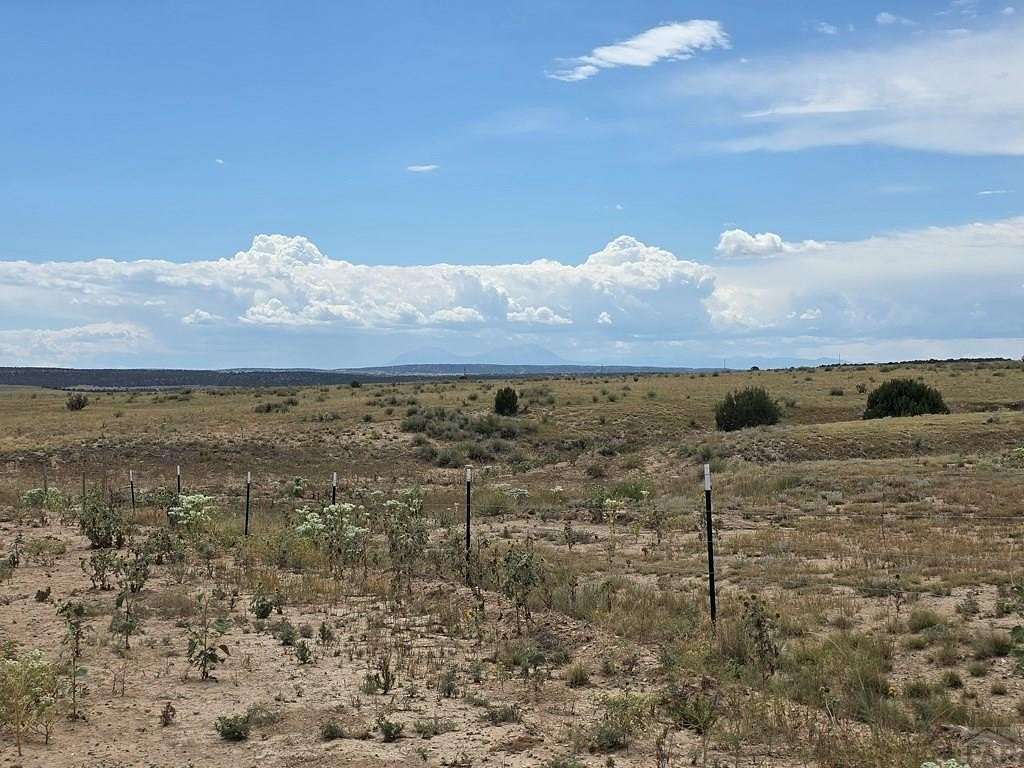 35 Acres of Land for Sale in Pueblo, Colorado