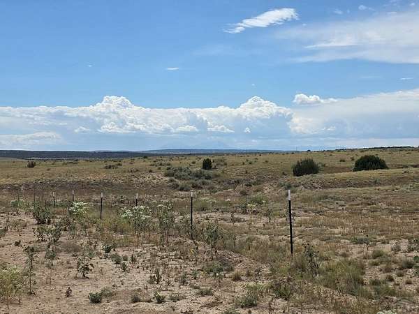 35 Acres of Land for Sale in Pueblo, Colorado