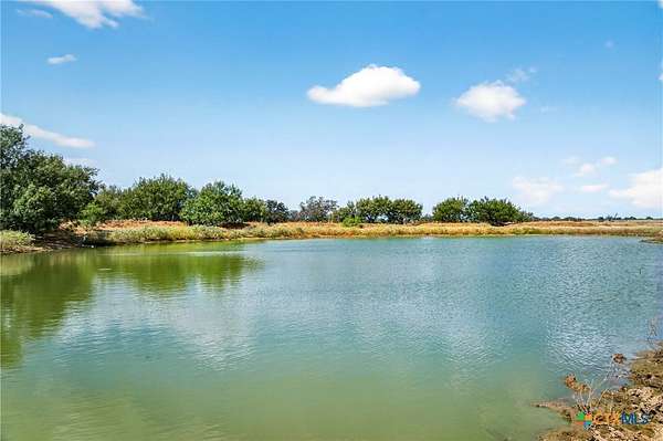 82.5 Acres of Agricultural Land with Home for Sale in Leesville, Texas