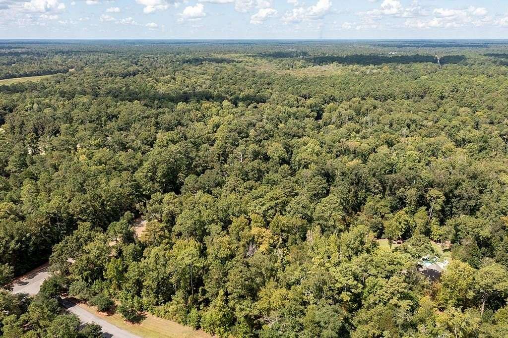 9 Acres of Residential Land for Sale in Albany, Georgia