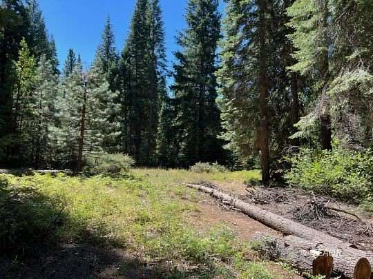 7.36 Acres of Land for Sale in Wildwood, California