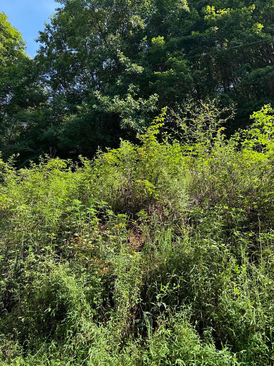 7.4 Acres of Land for Sale in Ten Mile, Tennessee