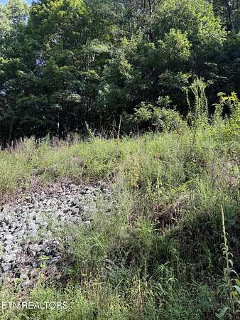 7.4 Acres of Land for Sale in Philadelphia, Tennessee