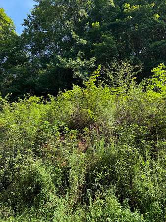 7.4 Acres of Land for Sale in Ten Mile, Tennessee