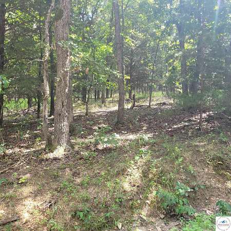 4.8 Acres of Residential Land for Sale in Edwards, Missouri