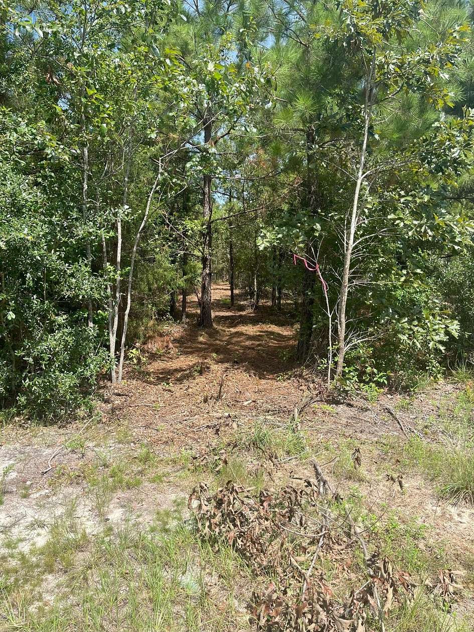 10 Acres of Residential Land for Sale in Kershaw, South Carolina