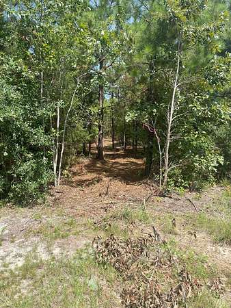 10 Acres of Residential Land for Sale in Kershaw, South Carolina