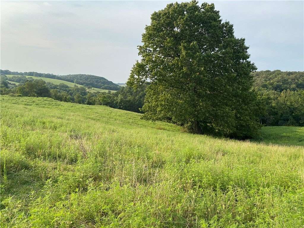 20 Acres of Land for Sale in Hindsville, Arkansas