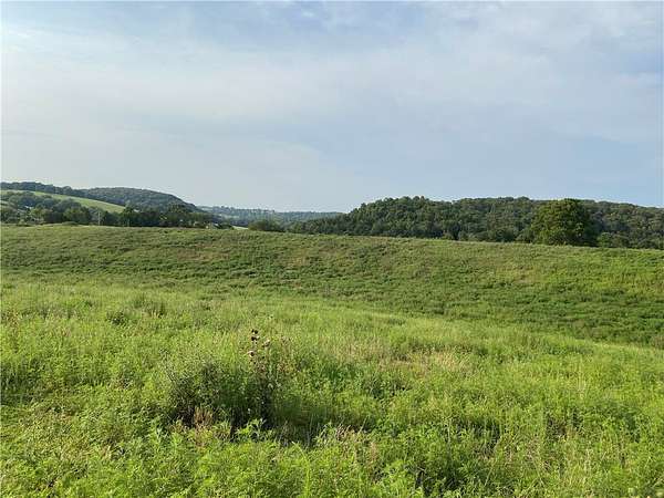 20 Acres of Land for Sale in Hindsville, Arkansas