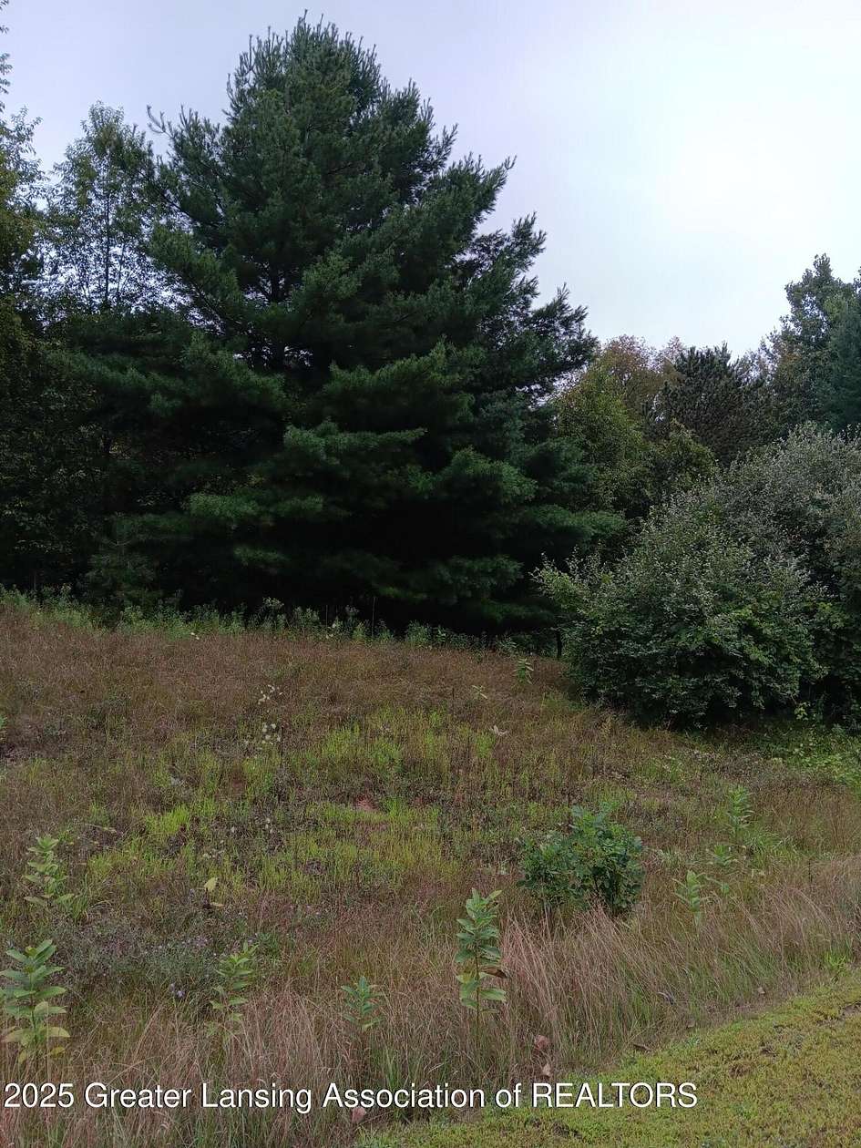 Residential Land for Sale in Owosso, Michigan