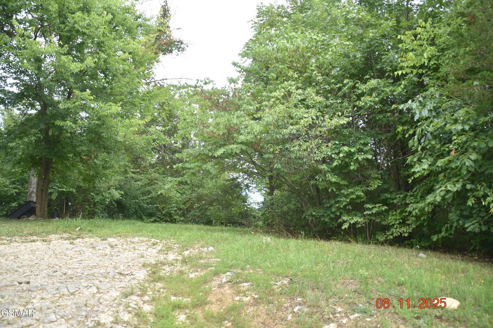 10 Acres of Residential Land for Sale in Whitesburg, Tennessee