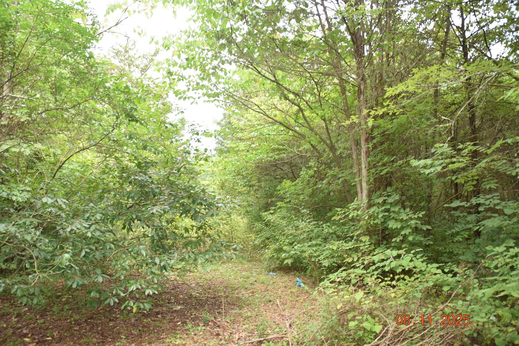 10 Acres of Residential Land for Sale in Whitesburg, Tennessee