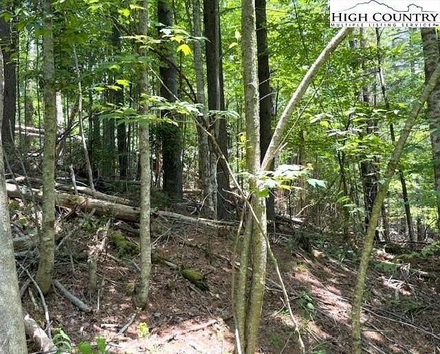 0.21 Acres of Land for Sale in West Jefferson, North Carolina