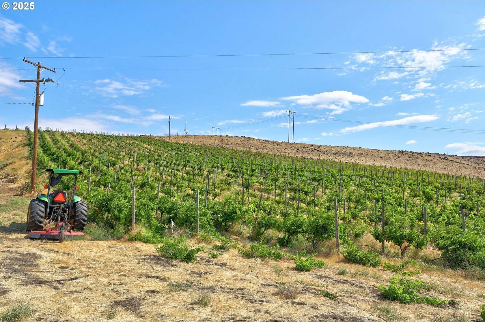 9.75 Acres of Agricultural Land for Sale in Dallesport, Washington