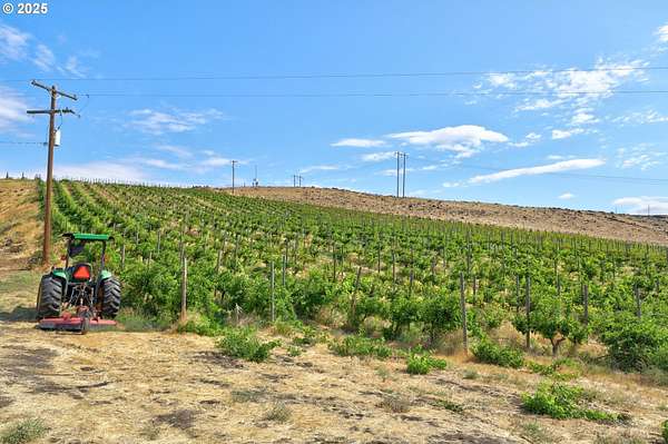 9.75 Acres of Agricultural Land for Sale in Dallesport, Washington