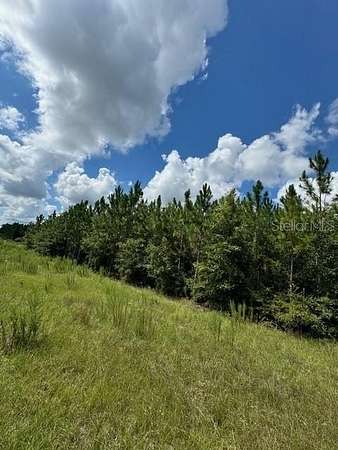 12.2 Acres of Land for Sale in Fort White, Florida