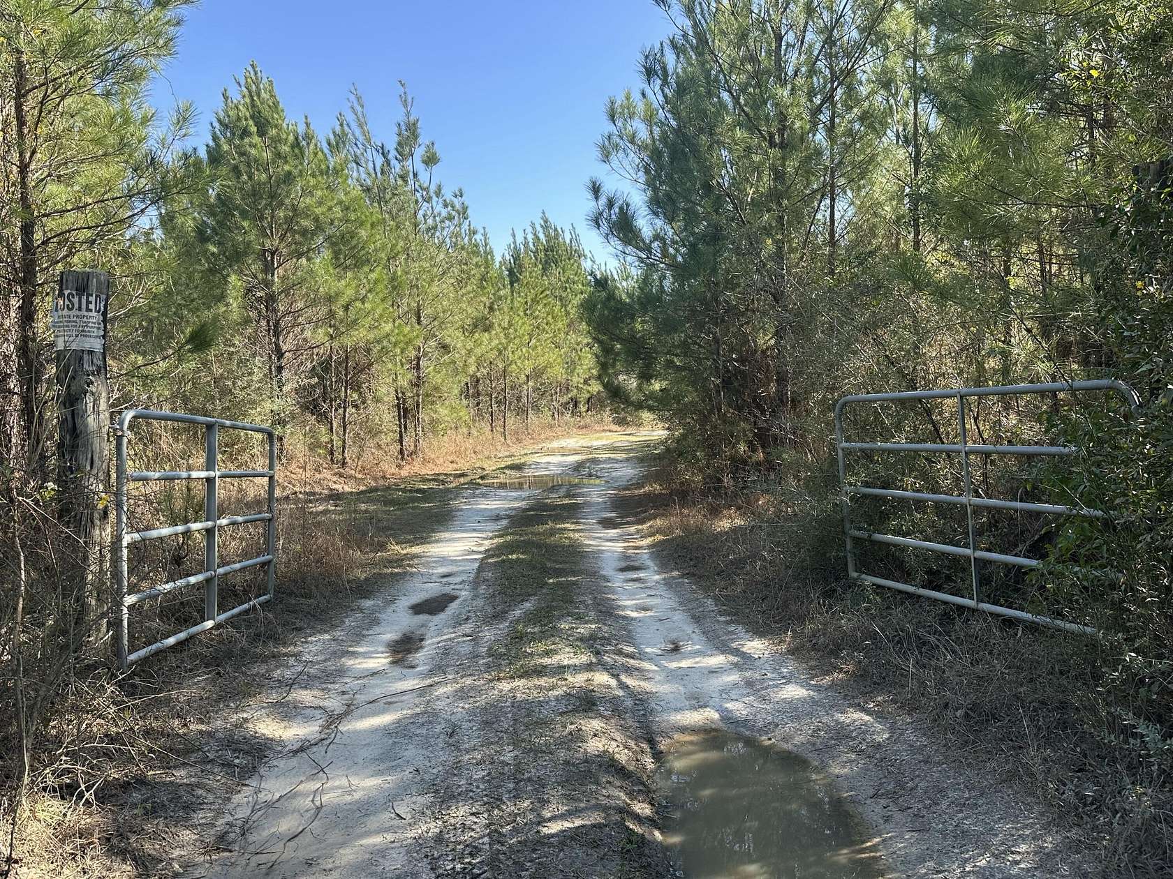 204 Acres of Recreational Land for Sale in Bonifay, Florida
