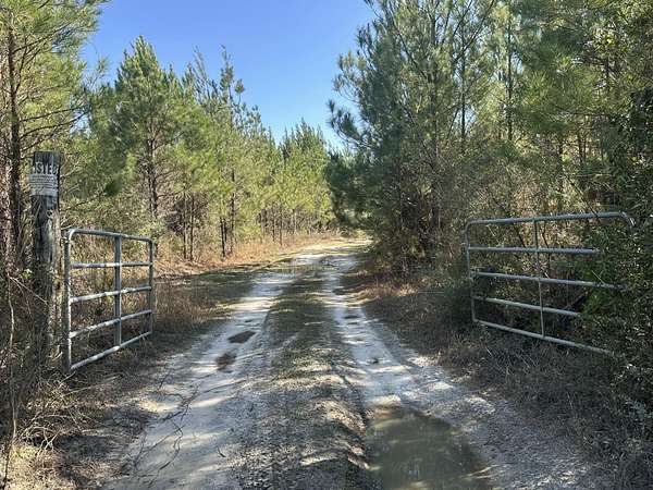 204 Acres of Recreational Land for Sale in Bonifay, Florida