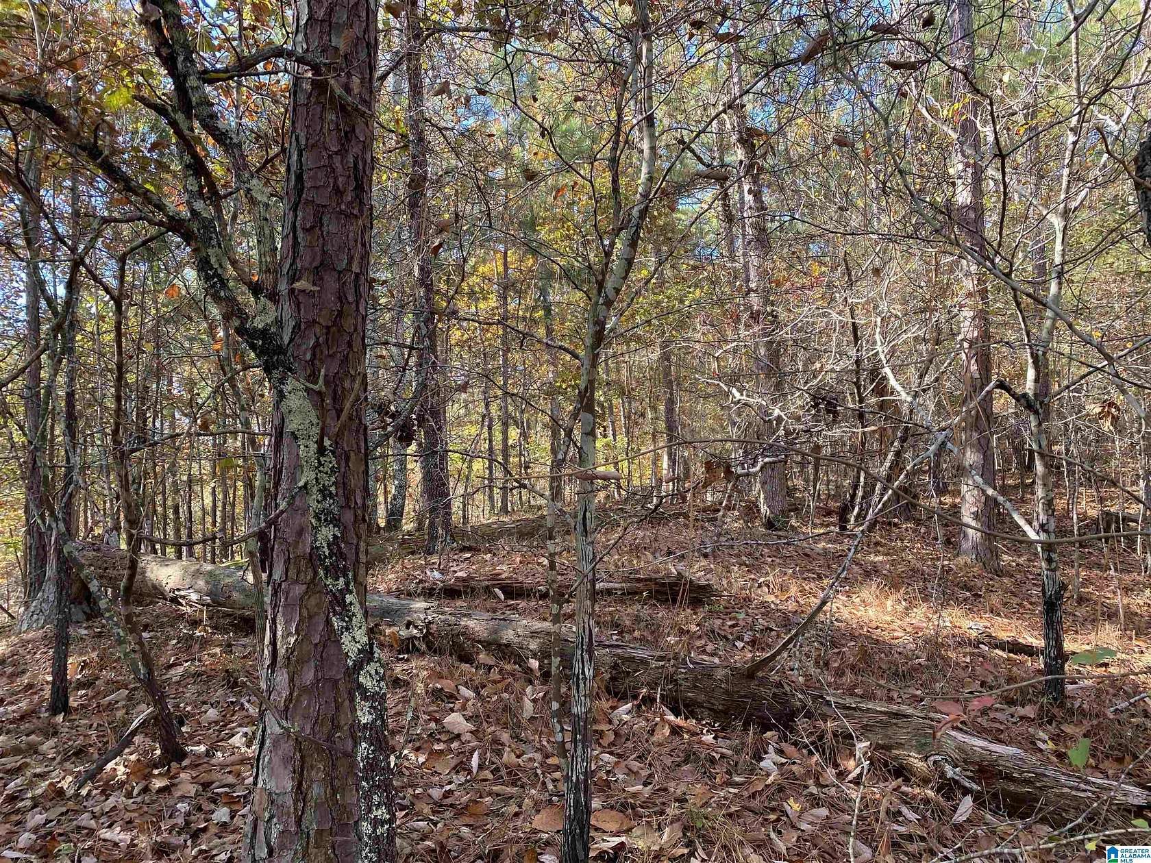 3.45 Acres of Residential Land for Sale in Columbiana, Alabama