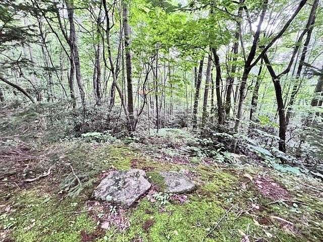 3.12 Acres of Land for Sale in Black Mountain, North Carolina