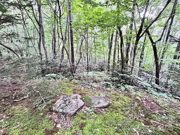 3.12 Acres of Land for Sale in Black Mountain, North Carolina