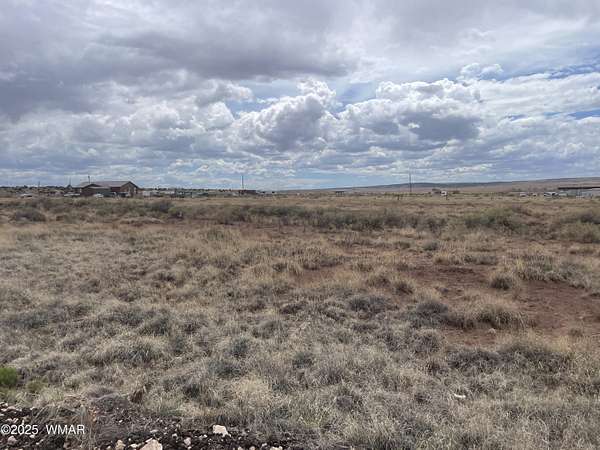 1.36 Acres of Land for Sale in St. Johns, Arizona