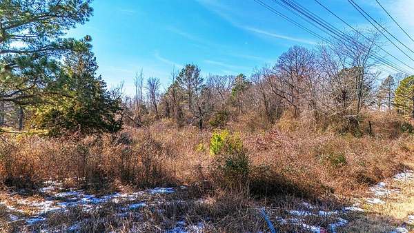 20 Acres of Recreational & Residential Land for Sale in Alexander, Arkansas