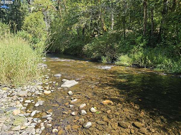 6 Acres of Recreational Land for Sale in Kelso, Washington