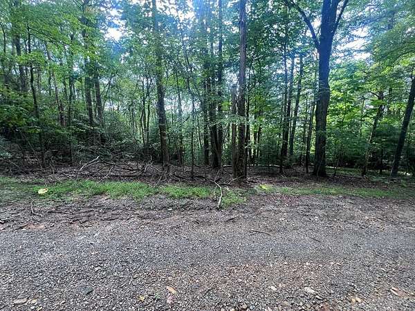 1.3 Acres of Residential Land for Sale in Fancy Gap, Virginia