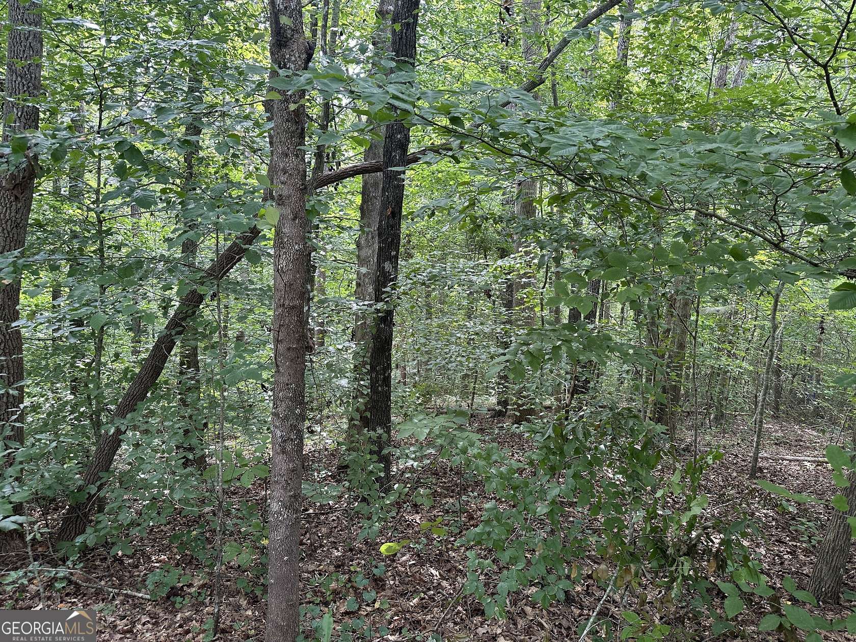 3.14 Acres of Residential Land for Sale in Toccoa, Georgia