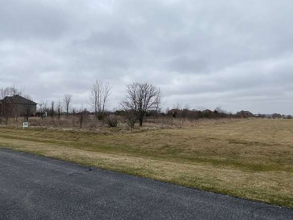 1 Acre of Residential Land for Sale in Monee, Illinois