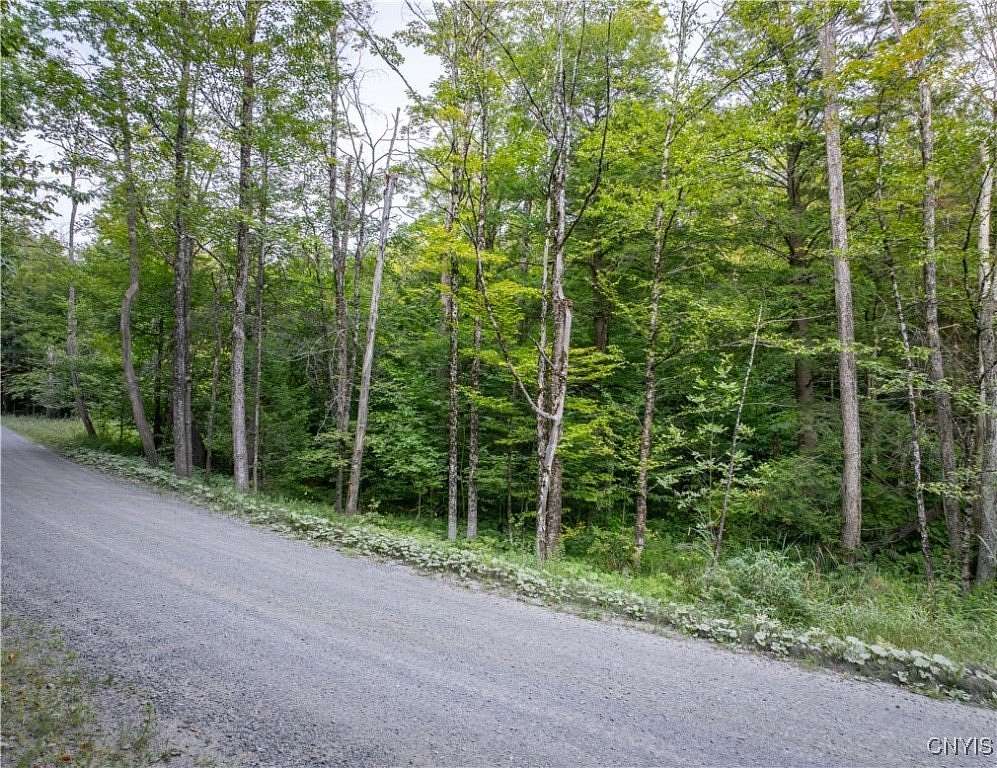 31 Acres of Recreational Land for Sale in Little Falls, New York