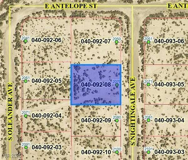 0.29 Acres of Land for Sale in Pahrump, Nevada