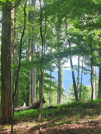 0.59 Acres of Land for Sale in Ellijay, Georgia