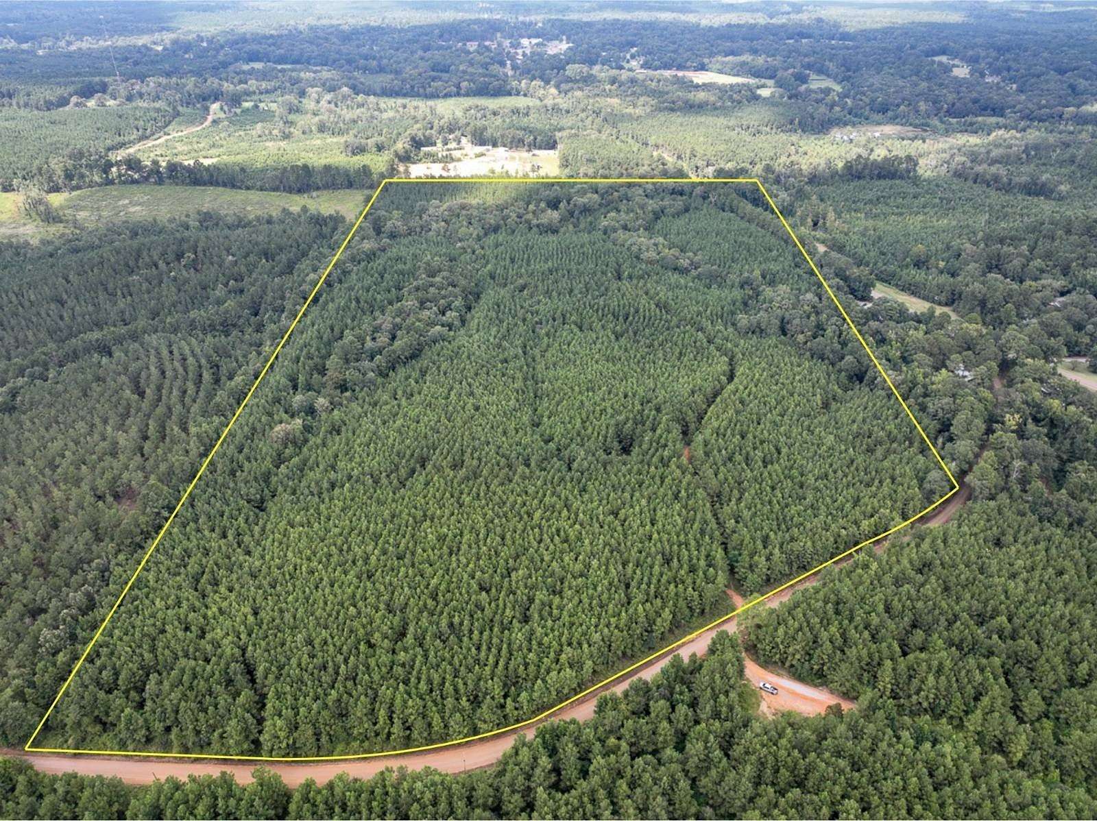 64 Acres of Recreational & Residential Land for Sale in Provencal, Louisiana