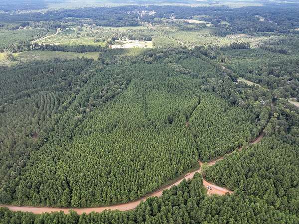 64 Acres of Land for Sale in Natchitoches, Louisiana