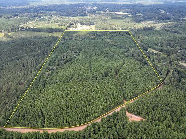 64 Acres of Recreational & Residential Land for Sale in Provencal, Louisiana