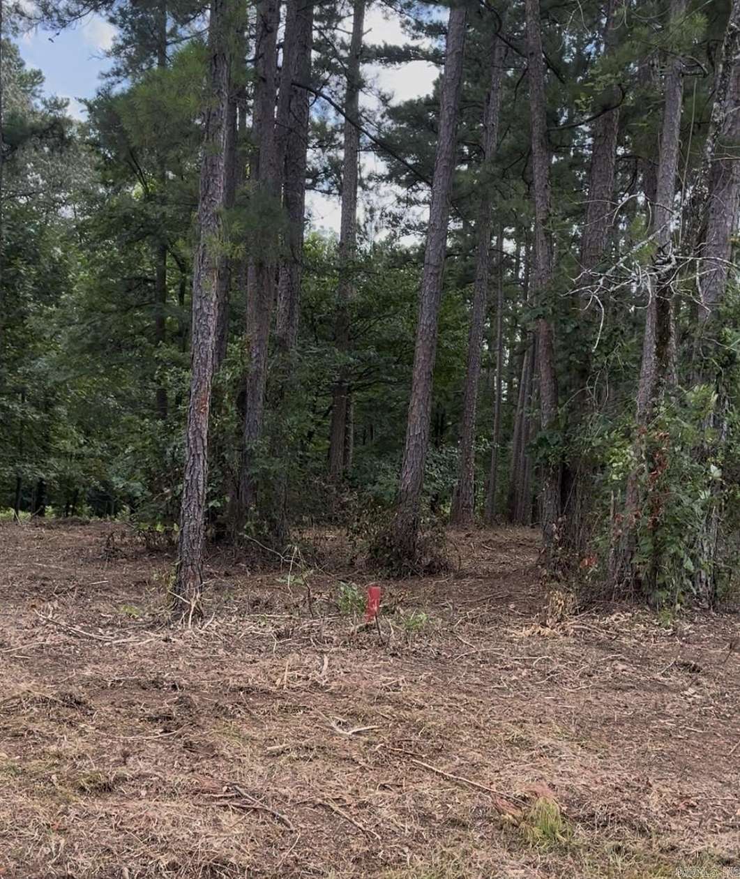 1 Acre of Residential Land for Sale in Clinton, Arkansas