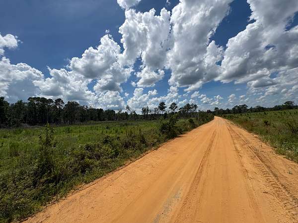 29 Acres of Land for Sale in Sylvania, Georgia