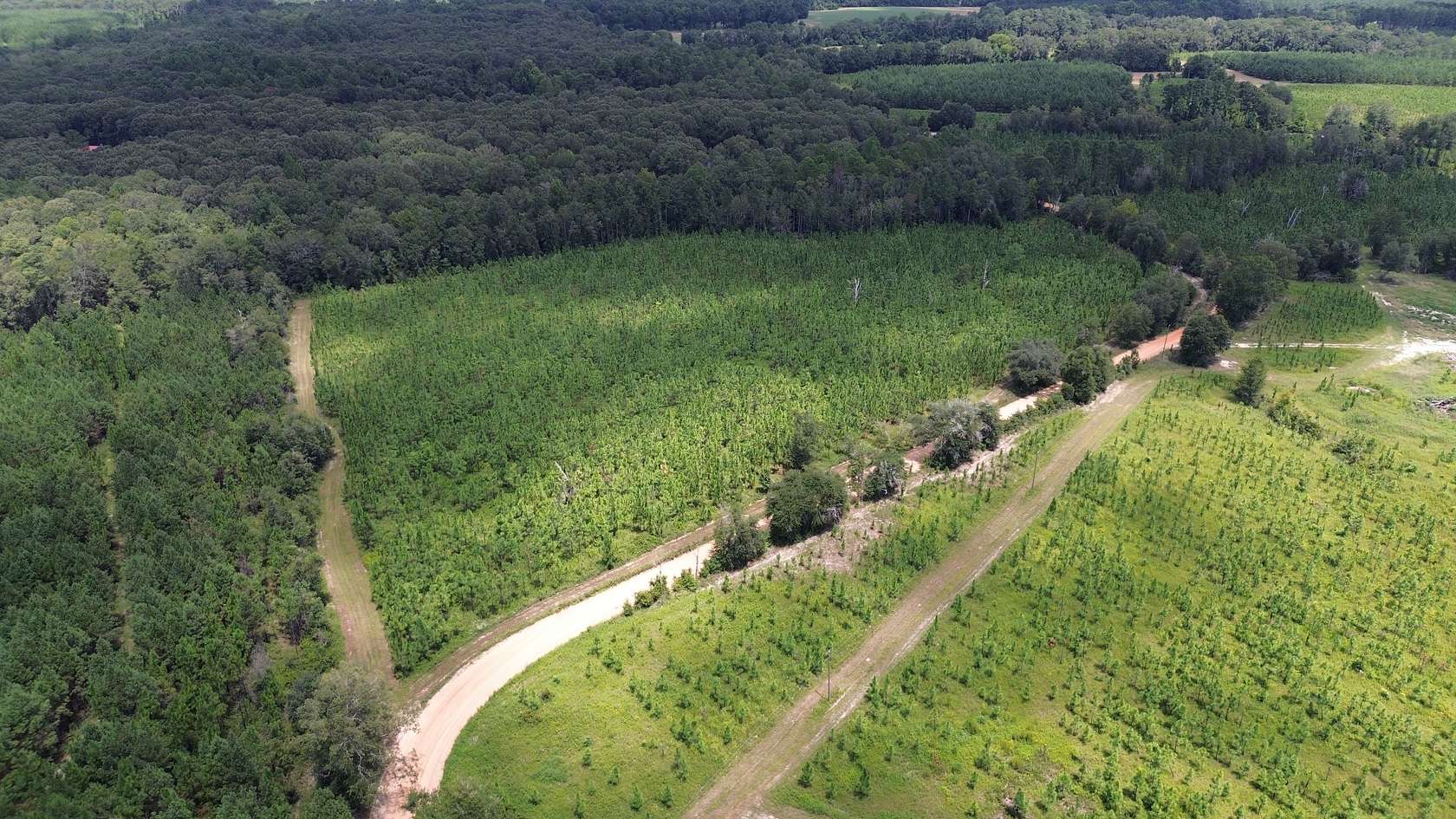 15 Acres of Land for Sale in Sylvania, Georgia