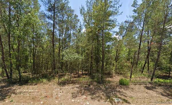 0.31 Acres of Residential Land for Sale in Homosassa, Florida