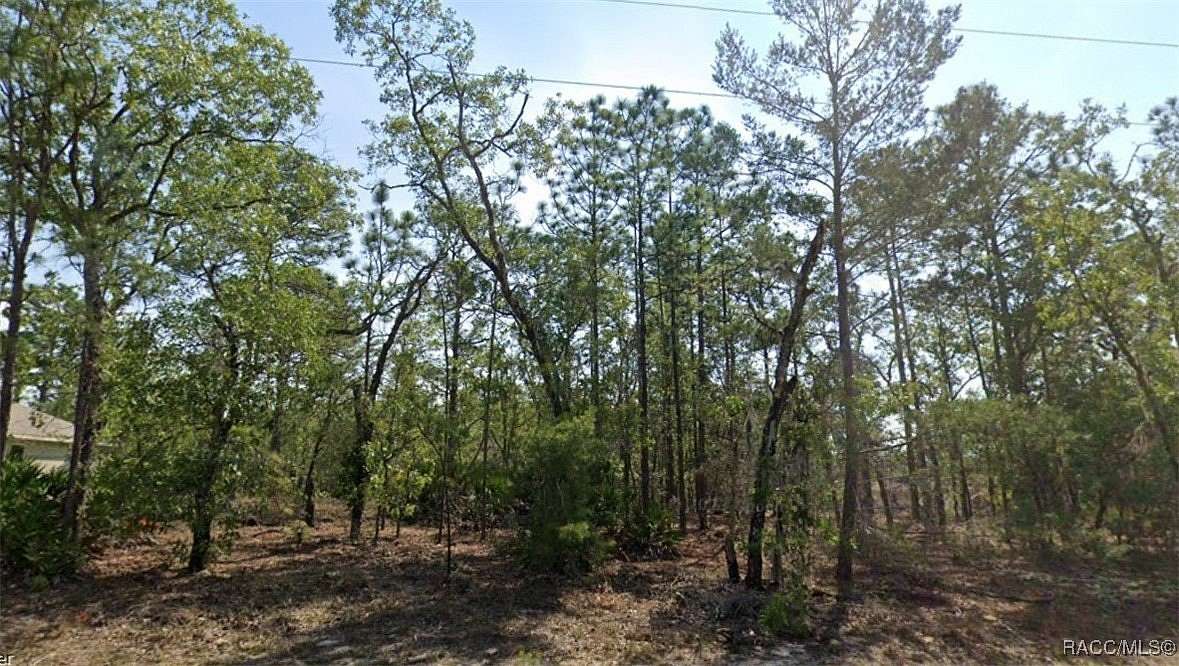 0.23 Acres of Residential Land for Sale in Citrus Springs, Florida