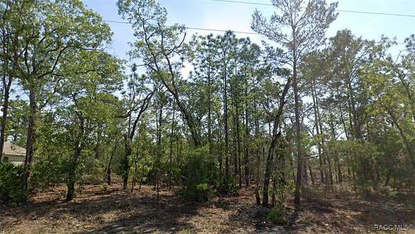0.23 Acres of Residential Land for Sale in Citrus Springs, Florida
