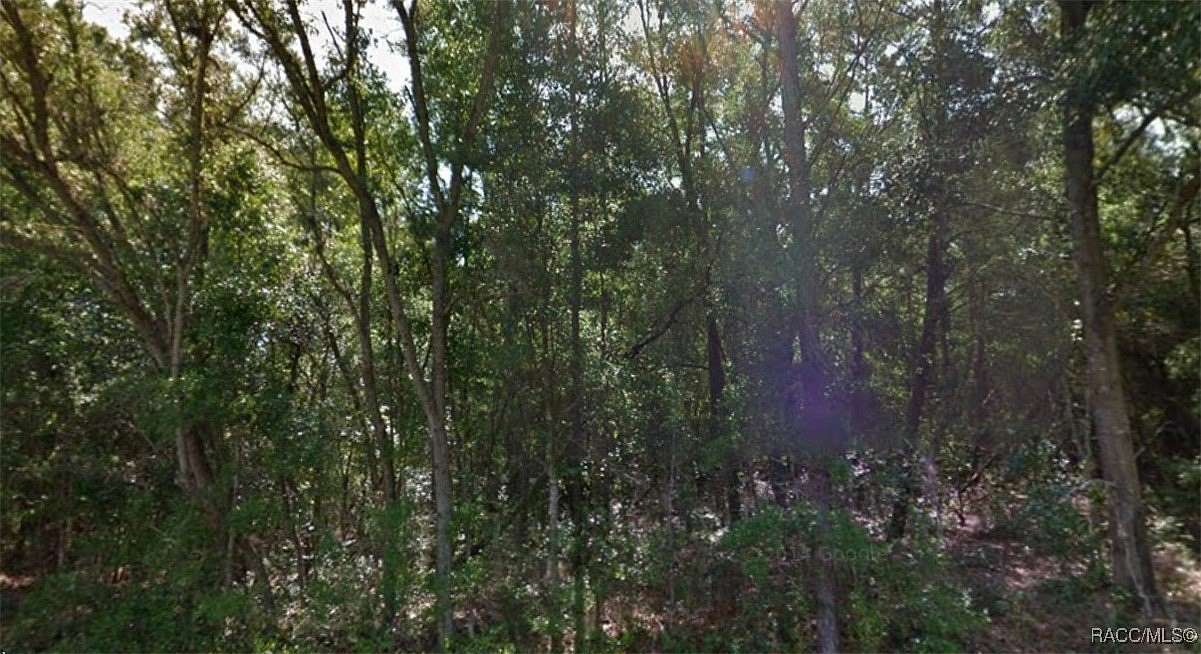 0.36 Acres of Residential Land for Sale in Citrus Springs, Florida