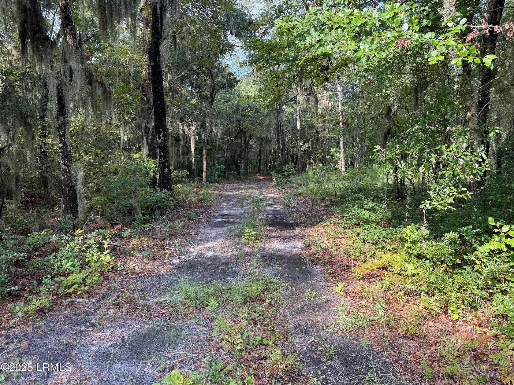 6.14 Acres of Residential Land for Sale in Saint Helena Island, South Carolina