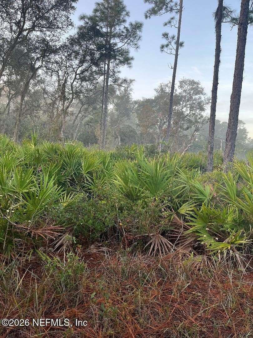 0.24 Acres of Residential Land for Sale in Crescent City, Florida