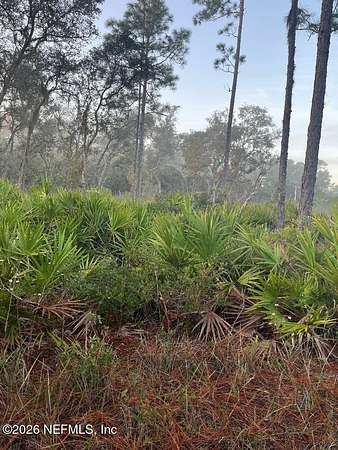 0.24 Acres of Residential Land for Sale in Crescent City, Florida